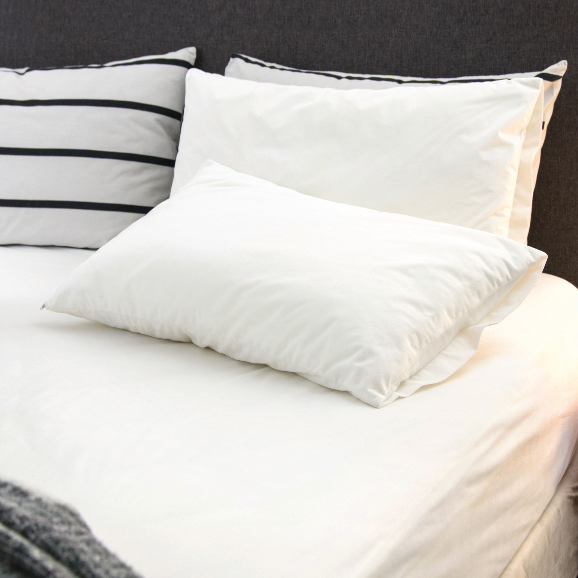 delis deluxe pillow protector